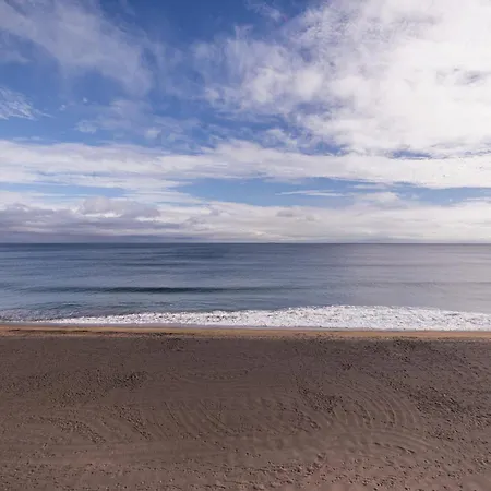 Barracuda Ponta Delgada