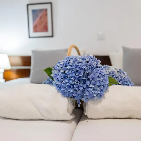 Aparthotel Barracuda 3*