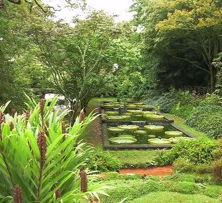 Barracuda Aparthotel Ponta Delgada (Sao Miguel)