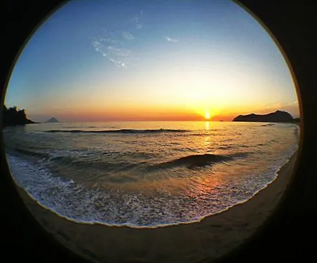 Barracuda Ponta Delgada