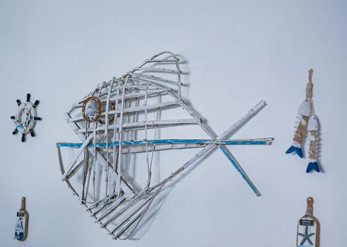 Barracuda Ponta Delgada (Sao Miguel)