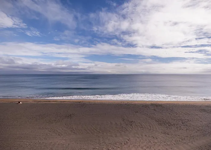 Barracuda Понта-Делгада