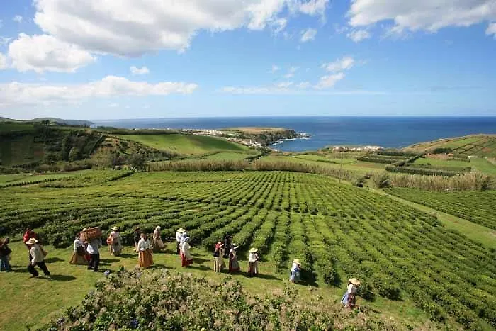 Barracuda Aparthotel 3*