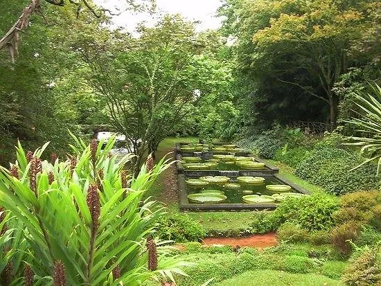 Barracuda Aparthotel Ponta Delgada (Sao Miguel)